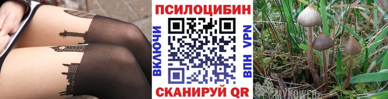 Галлюциногенные грибы Psilocybe blacksprut как войти Апшеронск