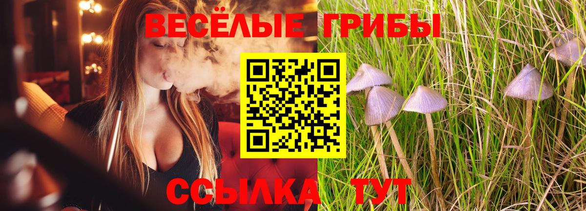 Псилоцибиновые грибы ЛСД Апшеронск
